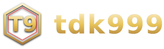 tdk999 logo